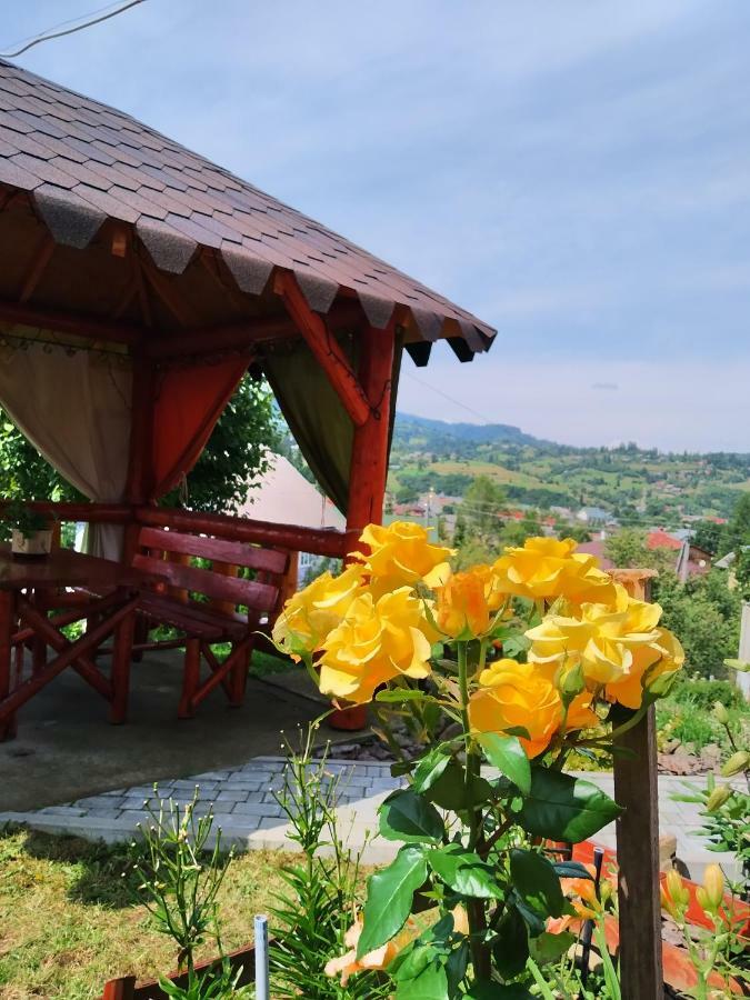 Відпочинок У Пронів Hotel Slavske Ngoại thất bức ảnh